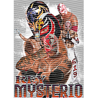 idol singer-GS  2442